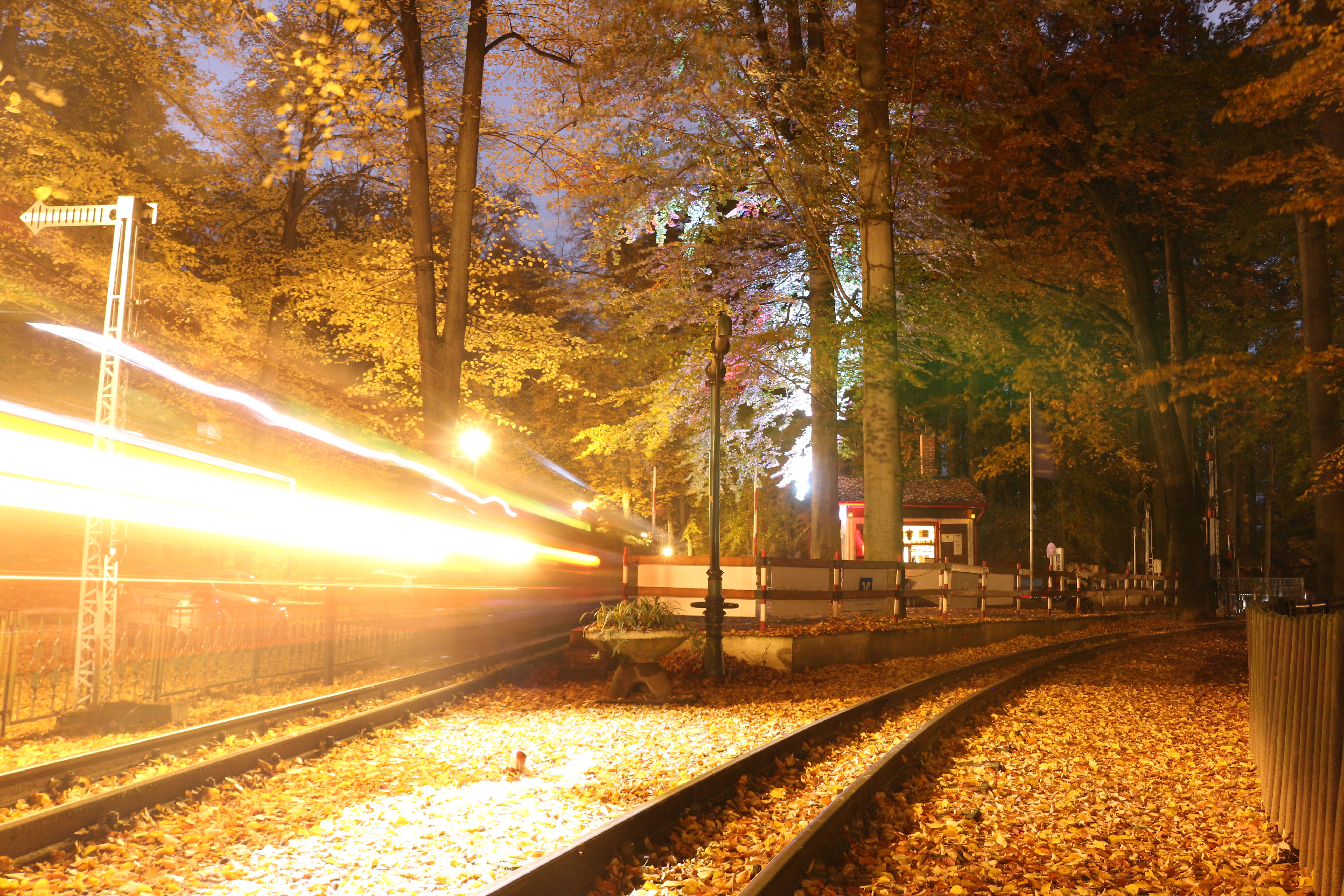 2023-10-31_Halloweenfahrten_07 50 Jahre - Programm f&uuml;r Teilnehmer | G&ouml;rlitzer Oldtimer Parkeisenbahn